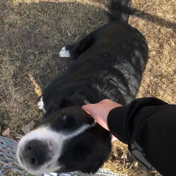 Meet your Posher, Lena - Picture 1 of 1